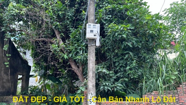 ĐẤT ĐẸP - GIÁ TỐT - Cần Bán Nhanh Lô Đất Hai Mặt Tiền Đẹp Tại Đường 23 Mai Lâm, Đông Anh, Hà Nội